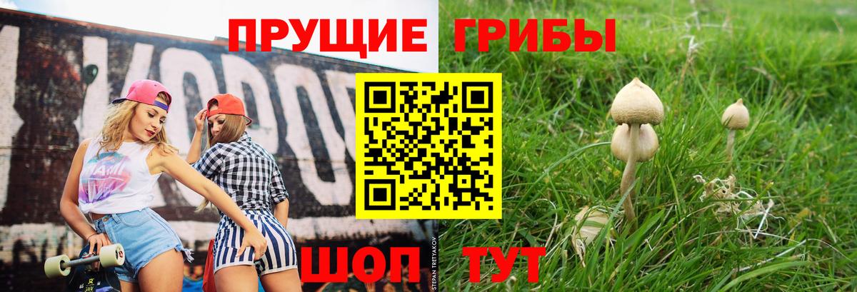 Верхний Уфалей  Галлюциногенные грибы GOLDEN TEACHER  Вход с VPN 